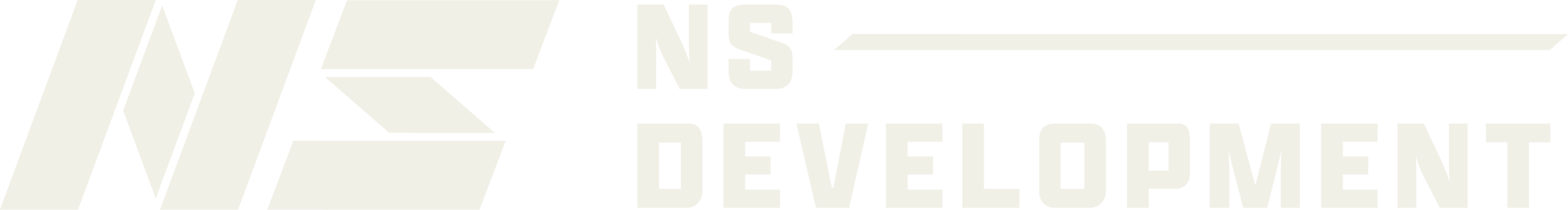 NS Development